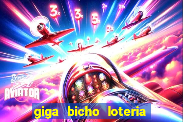 giga bicho loteria dos sonhos